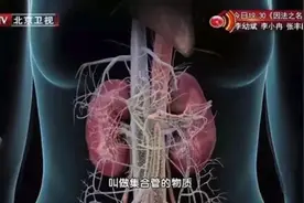 手上有这个表现是肾在“求救”！饮食中的“护肾法宝”，简单又有效图片