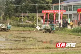 春耕正当时 衡山县新桥镇农机大户唱“主角”图片