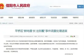 耕地里“长”出别墅？！河南信阳成立联合调查组图片