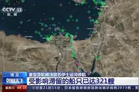 脱困失败！世纪大“塞船”：一天损失或达100亿美元！这些物价要涨图片