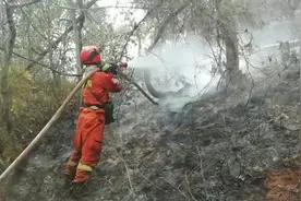云南祥云清华洞林场平坝林区发生火灾视频封面