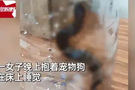 外国女子抱爱犬睡觉听到它反复狂吠，惊醒后开灯一看吓出冷汗只觉后怕图片