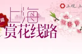 约吗？来嘉定赏樱图片