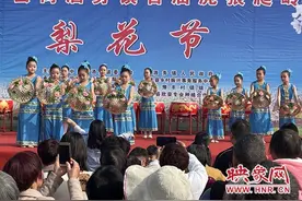 宝丰县商酒务镇：虎狼爬岭春色至 梨园花海迎客来图片