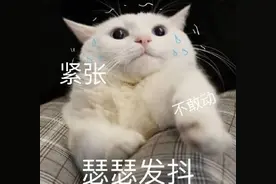 卡里莫名奇妙多了十三万！男子有点懵：可以找银行退不？图片