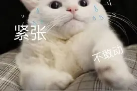 卡里莫名奇妙多了十三万！男子有点懵：可以找银行退不？图片