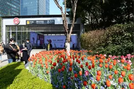 满城尽是“花花世界”，在上海如何共赴一场浪漫的春天之约？图片