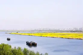 淮南市决战决胜脱贫攻坚战纪实③凤台县篇图片