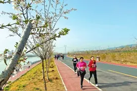 三门峡：为黄河镶绿边图片