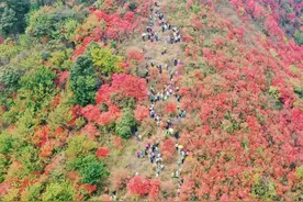 从化通天蜡烛，这个周末整座山被“点燃”图片