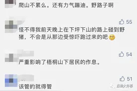 “200人深夜梧桐山蹦迪”真相查明！警方公布调查结果图片