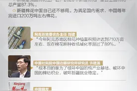 人民日报：图解复盘新疆棉花被抹黑始末 被策划的阴谋图片