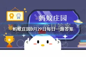 蚂蚁庄园3月29日今日答案：词句知否知否应是绿肥红瘦中红瘦本意指哪种花？图片