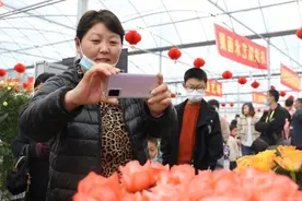 34秒｜临沂市河东区构建海棠花木产业体系 年销售各类苗木2亿多株视频封面