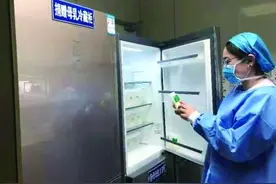 母乳库，一棵破土的芽苗图片