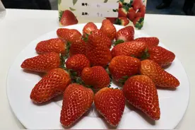 一颗小草莓“红火”一片乡村图片