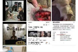 广州警方回应“柴犬遭一男子铁钳拔牙虐待致死”：已介入调查图片