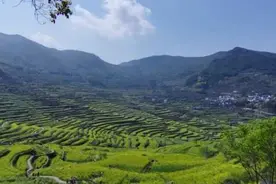 回来就想按头安利！古道、土路、石浪……徒步9公里的覆卮山千年油菜花梯田太美图片