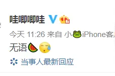 龙丹妮不再担任哇唧唧哇实控人？官博回应图片