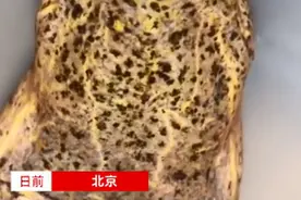 北京一男子将养了5年的鳝鱼放生，随后发生的一幕让他泪目图片