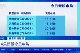 4只新股今日申购！申购代码收好→视频封面