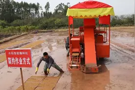 播种神器来了！1分钟完成30块秧盘播种视频封面