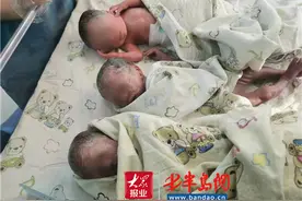 40岁高龄产妇产下“三朵金花”市立多学科团队护佑母子平安图片