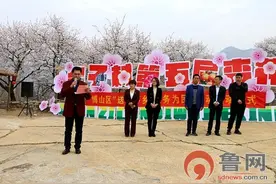 淄博市博山区池上镇泉子村第五届杏花节开幕图片