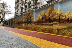 老旧院落怎么治理？“五树工作法”在崇州银杏大院结出幸福果图片