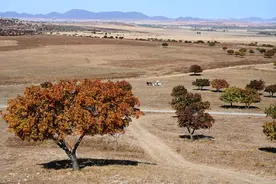 「家国天下」潘岳：为何罗马抛弃了罗马 而中华选择了中华？图片