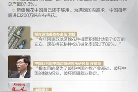 复盘！新疆棉花被抹黑始末图片