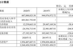 2020年报｜金枫酒业：净利同比下降近六成，市场恢复不及预期图片