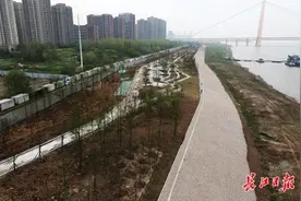 武昌八铺街堤防洪工程现雏形丨图集图片