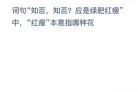 词句知否知否应是绿肥红瘦中红瘦本意指哪种花 蚂蚁庄园3月30日今日答案图片