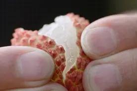 5月下旬可上市！东莞本地荔枝快来了！图片