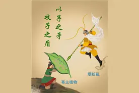 植物大战昆虫“矛”与“盾”图片