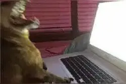 高速免费、外地车不限行！清明假期出行指引来了图片