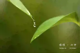 桃李正芬芳——郑州市第七高级中学践行“博雅教育”理念高品质建设“美好教育”的报告图片