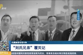 非法采矿、残害百姓、扒人祖坟，安徽“刘氏兄弟”涉黑案内幕再曝视频封面