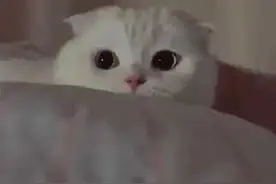 户籍不在上海，退休后能在上海领养老金吗？图片