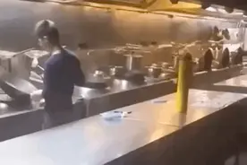 深夜后厨传来动静，男子走近拍下动人一幕图片