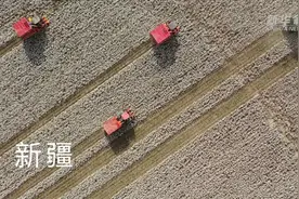 新华社向全球展示新疆机采棉，海外网友：欧美行不行啊，撒谎也不认真点图片