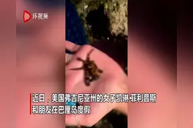 命大！美国一女子让剧毒蓝环章鱼在手上爬图片