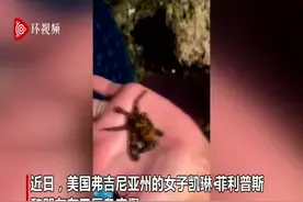命大！美国一女子让剧毒蓝环章鱼在手上爬图片
