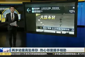 两岁幼童高坠幸存  热心邻里援手相助视频封面