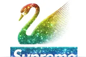 Supreme与施华洛世奇再推联名系列，以施华洛世奇水晶设计Supreme“S”徽标图片