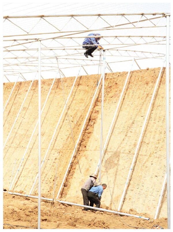 潍坊昌乐红河镇桃花源现代农业产业园：“五大片区”建设紧锣密鼓