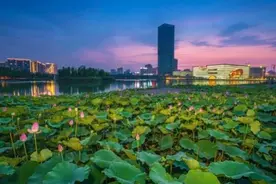 未来城市不应“千城一面”，沪嘉定新城将打造三个样板示范区视频封面