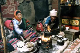 牛粪：暖的源泉、春的化身图片