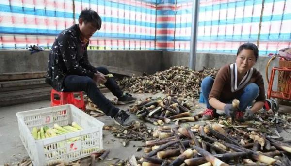 每斤仅3元+！浙江人超爱吃的本地鲜味，大批量上市